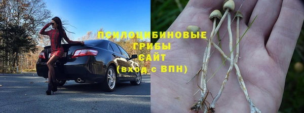 дживик Баксан