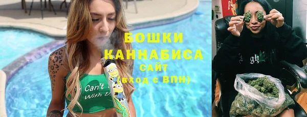 дживик Баксан