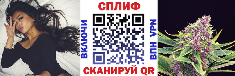 kraken онион Онега Бошки Шишки планчик
